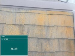カラーベスト屋根、塗装