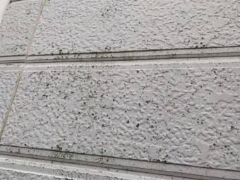 桑名市、雨樋工事、屋根修理、外壁塗装