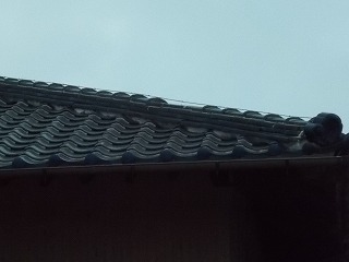 棟瓦 街の屋根やさん四日市店
