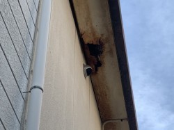四日市市、軒天破損