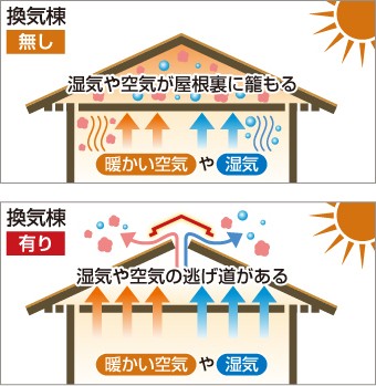 kankimune09-jup-simple