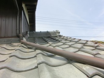 s-CIMG0554-columns2