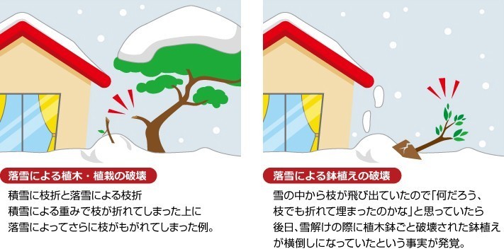 雪被害