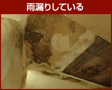 折板屋根からの室内雨漏れ状況