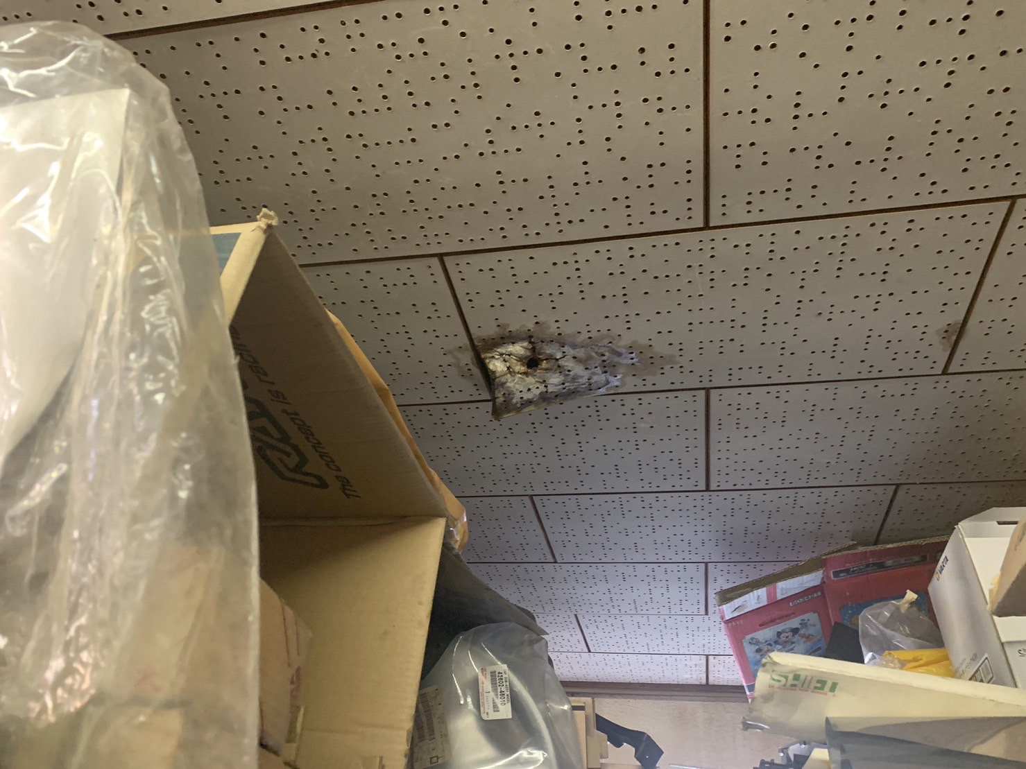 四日市市の店舗天井から雨漏りボード剥がれ