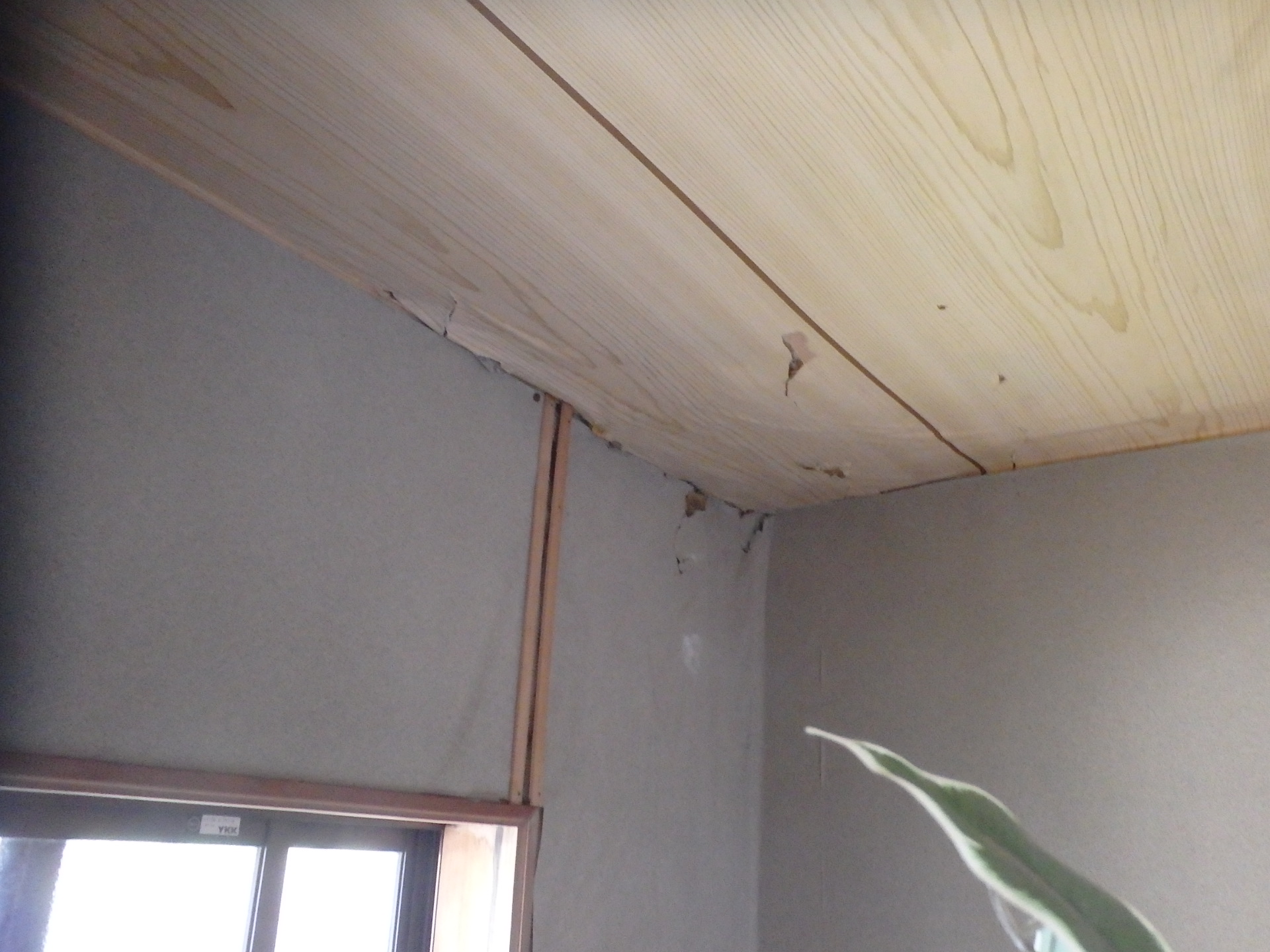 桑名市の増築部屋、天井雨漏り状況