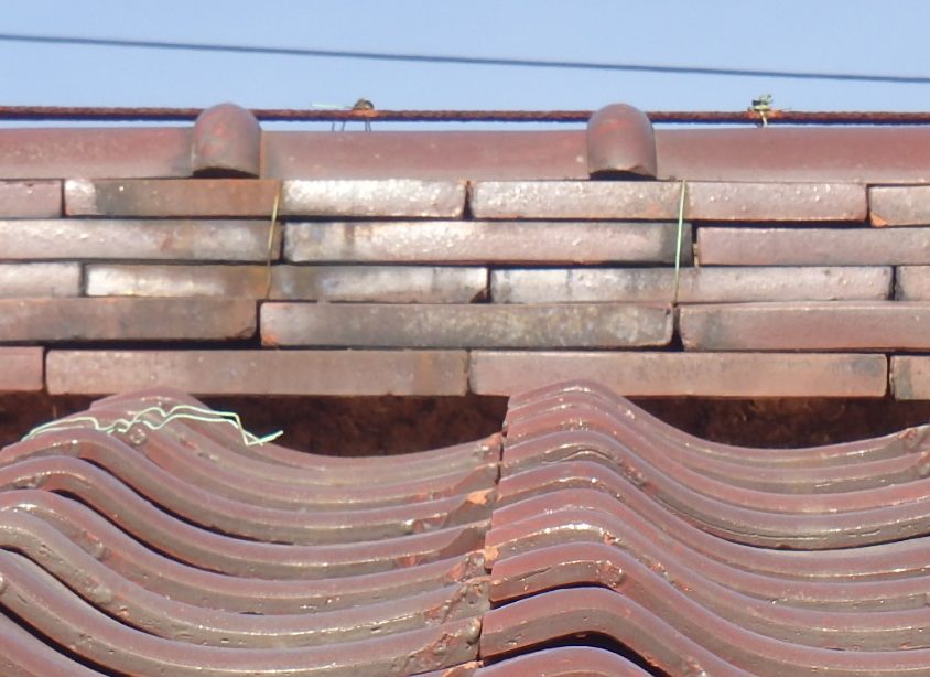 鈴鹿市のお宅、瓦屋根の無料点検瓦屋根の漆喰確認