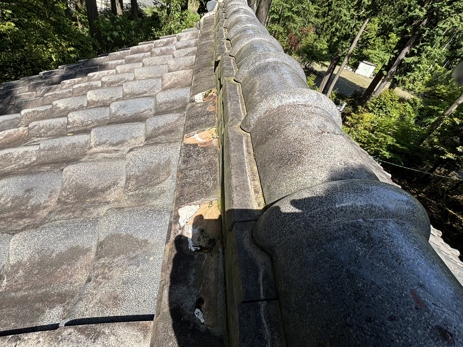 鈴鹿市の神社古い屋根瓦から雨漏れ、棟瓦が歪み熨斗瓦の劣化状態