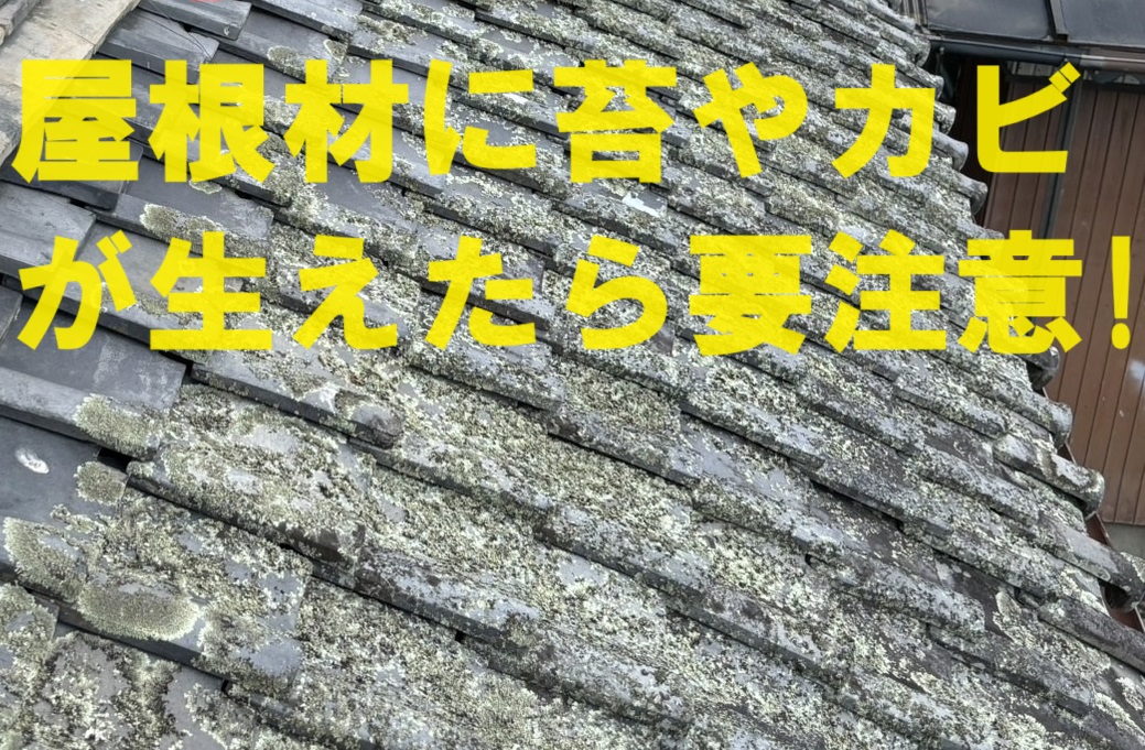 伊勢市の皆様へ屋根に苔やカビが生え始めたら屋根材に雨水が含んでいる証拠！