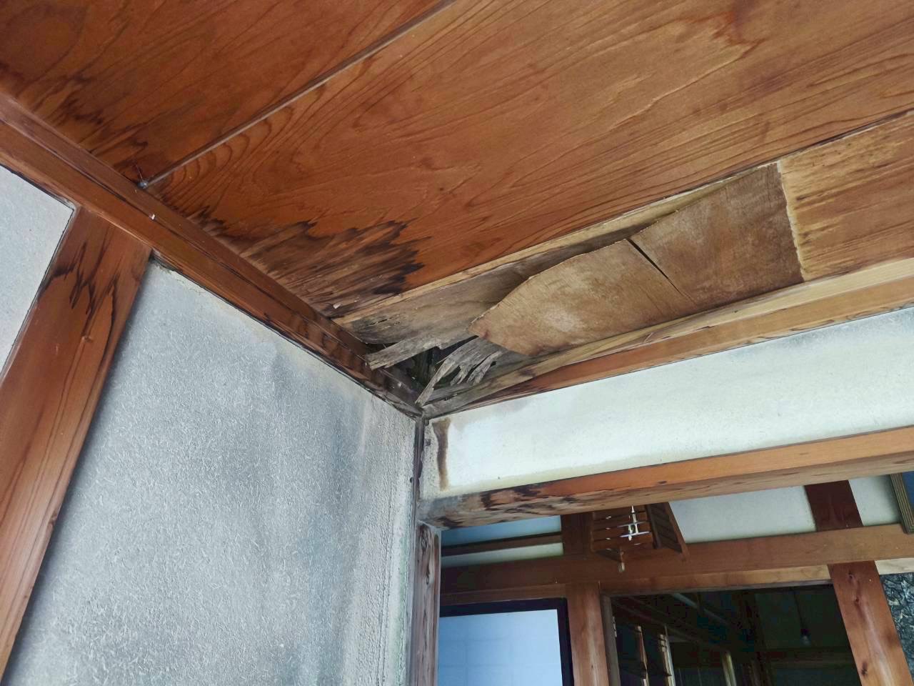 東員町谷樋からの雨漏り