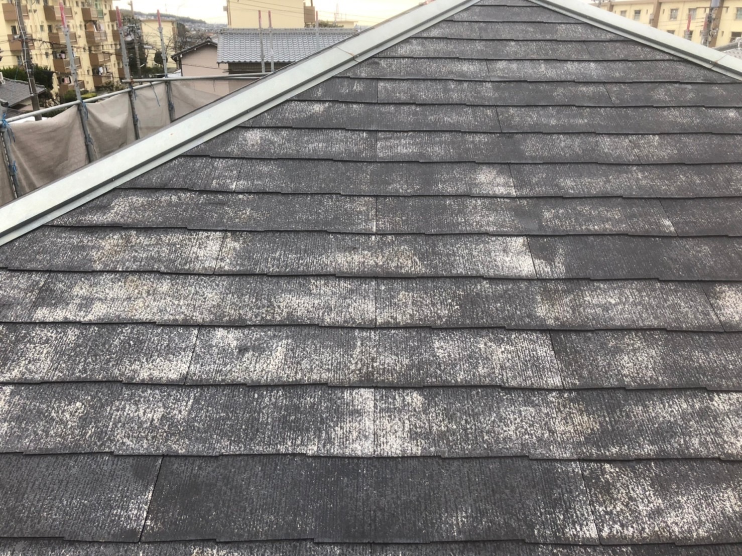 桑名市で屋根工事をお悩みの方へ屋根塗装、カバー工法どちらが正しい？