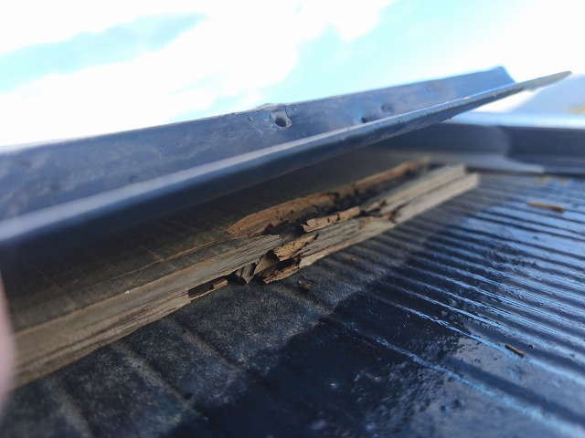 板金浮きを確認中の現地調査風景