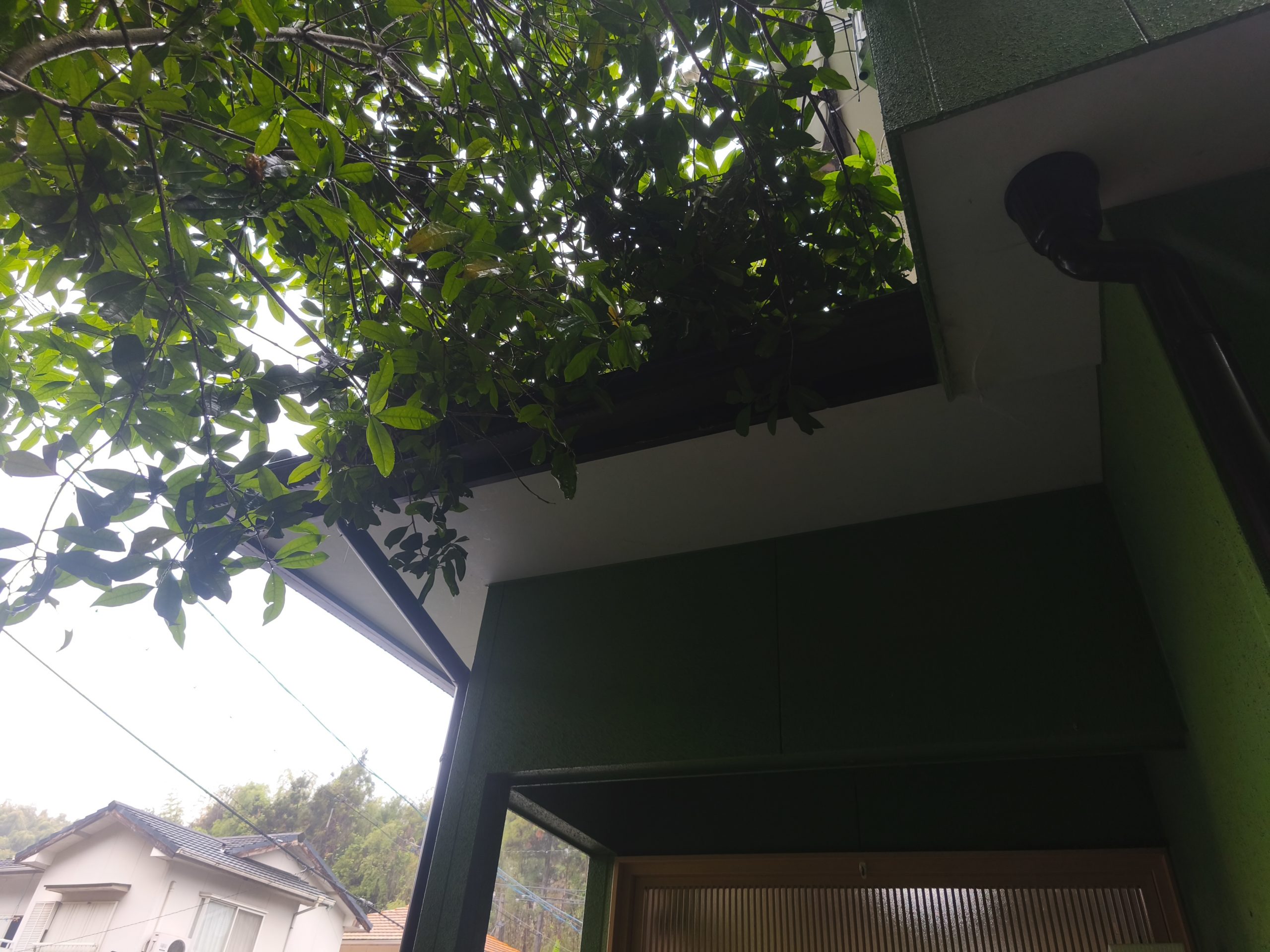 施工前