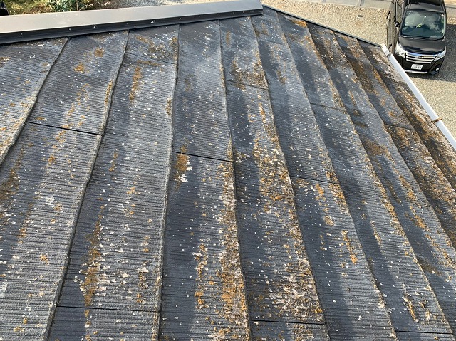 藻やカビが見られるスレート屋根