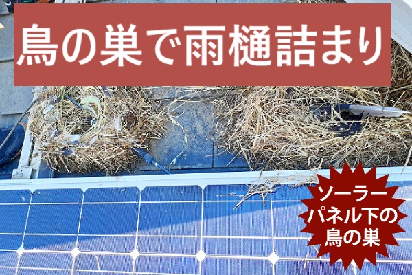 鈴鹿市にて太陽光パネル下に鳥の巣を作られた状況