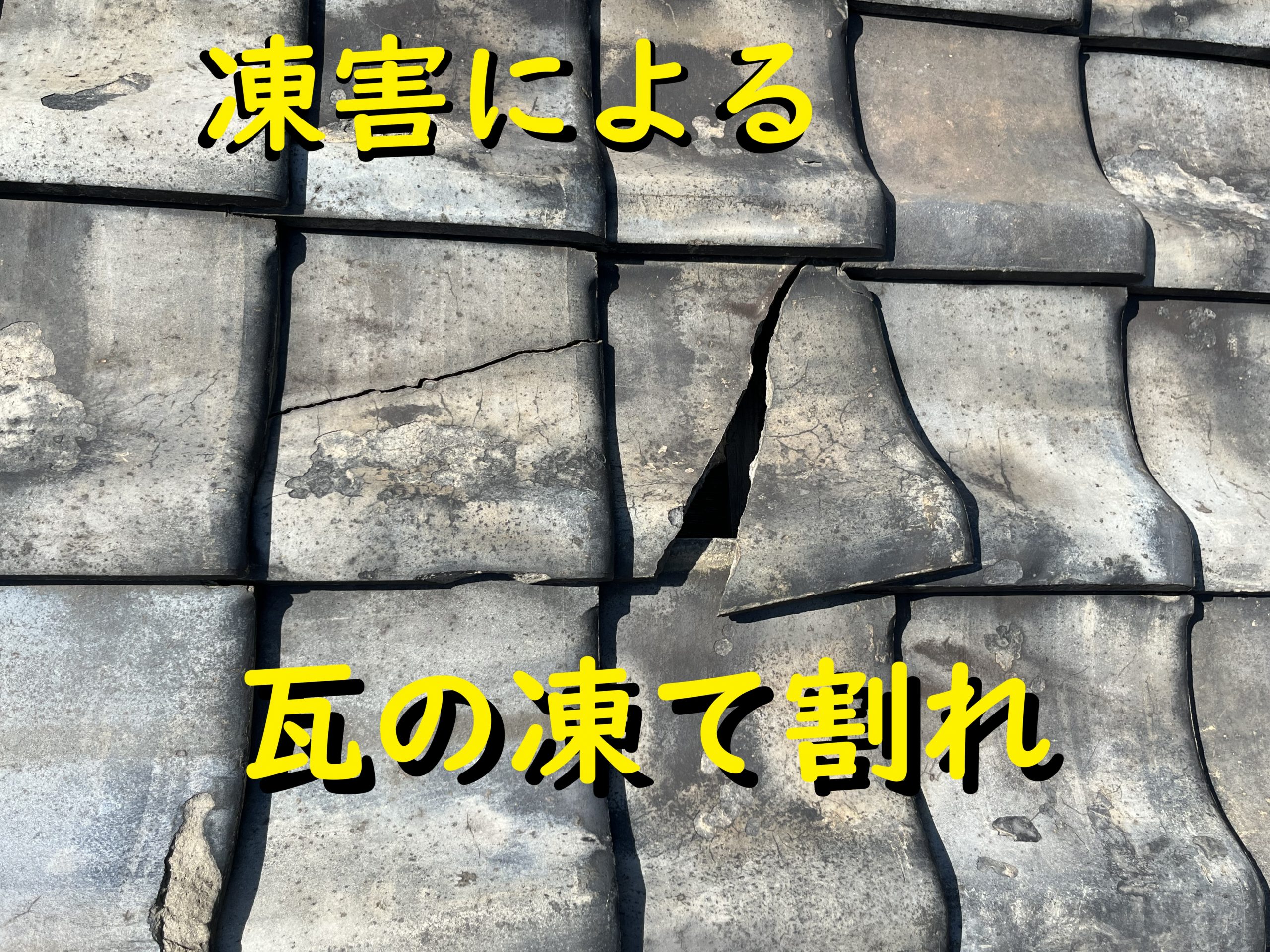 伊勢市の方へ凍害による瓦の凍て割れ状態