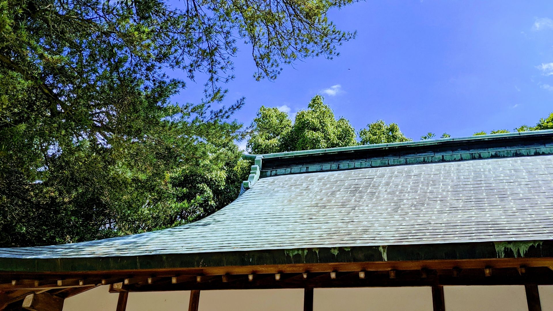 神社の屋根桑名市