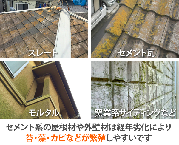 セメント系の屋根材や外壁材は経年劣化により、苔・藻・カビなどが繁殖しやすいです